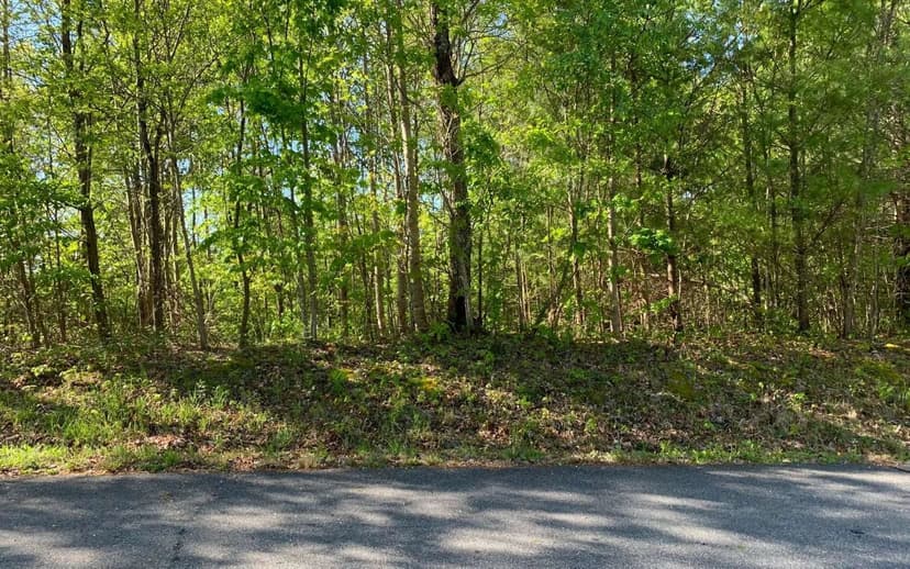 Lots & Land-Other in Hayesville
