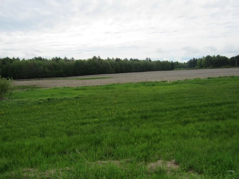 Property from 917 Gore Road - KW