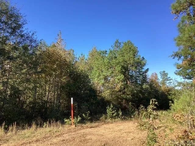 Property from Hwy 24 East, 76 acres - KW