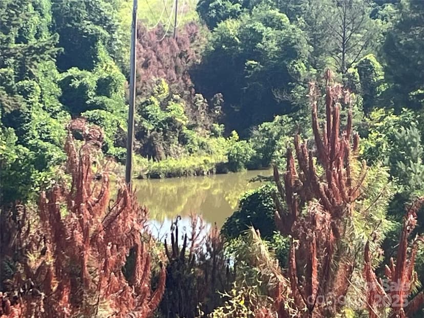 Property from 536-4 Pea Ridge Road - KW