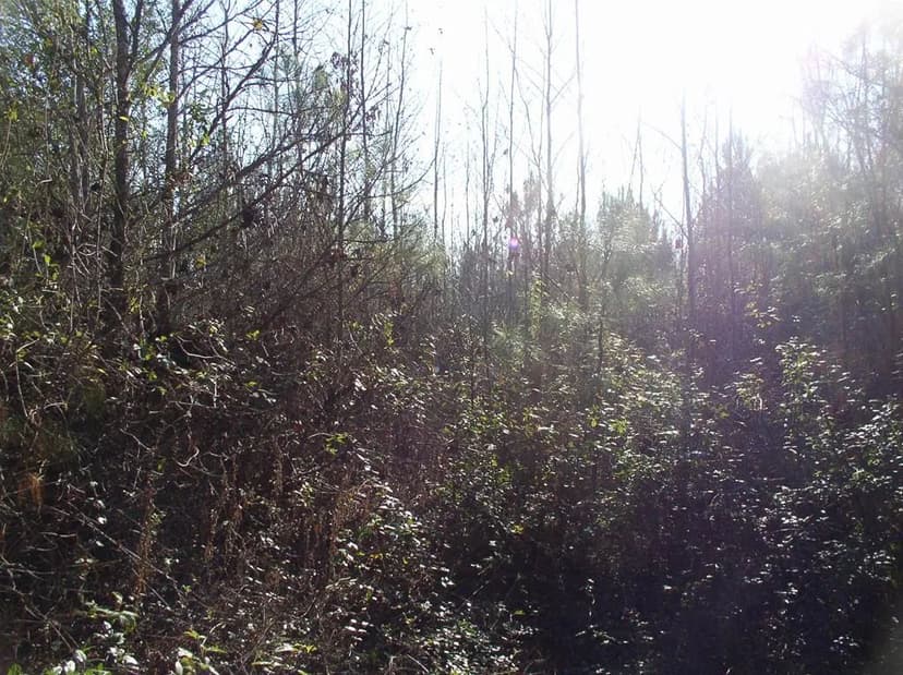 Vacant Land in Warrenton