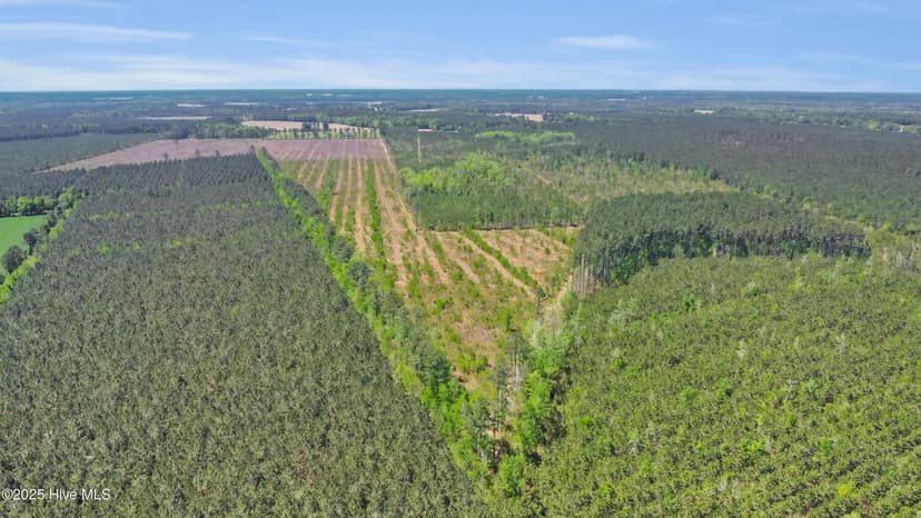 Vacant Land in Trenton