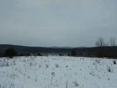 Charles Baker Back Forty