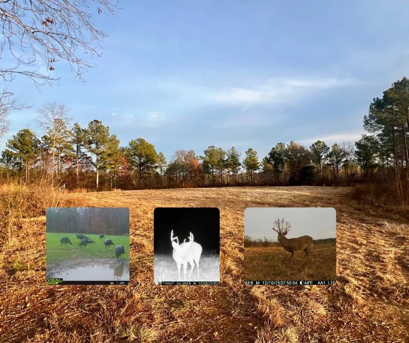 Brush Creek Hunting Camp