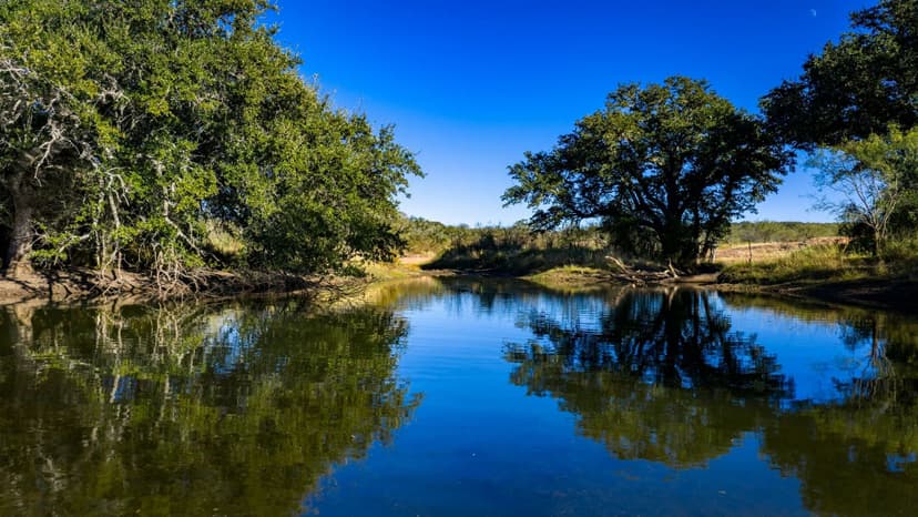 7499 N US Hwy 87 Mason, TX 76856