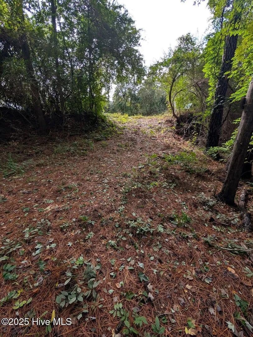 Vacant Land in Trenton