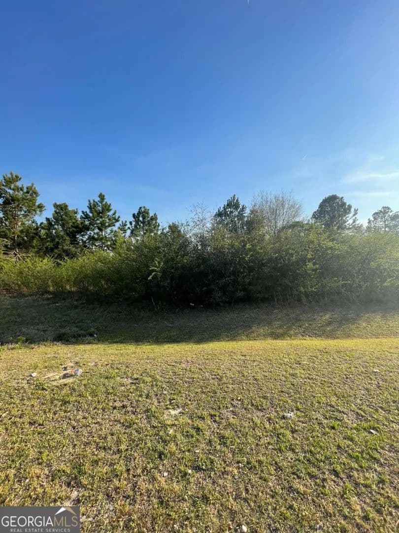 Property from 0 Effingham Highway - KW