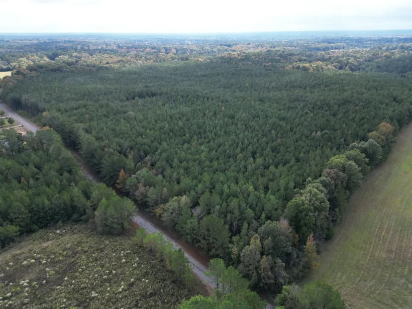 56 Acres in Leake County in Carthage, MS