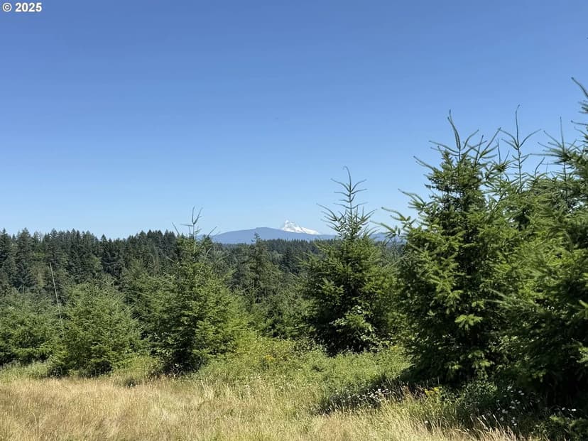 Vacant Land in Washougal