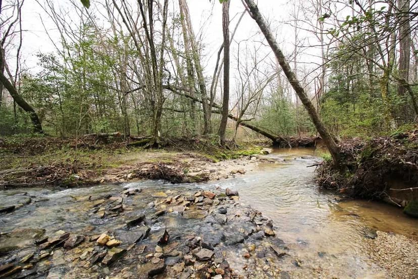 125.58+/- Acres in Hamptonville, Yadkin County