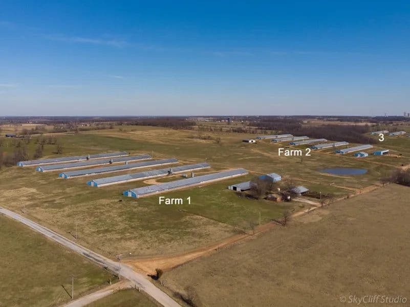 Cargill Big Tom Turkey Farm