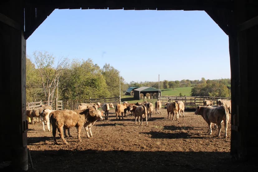 Property from 4031 Cynthiana Road - KW