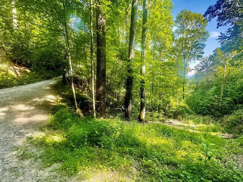 Property from 0 Upper Sawyers Creek Rd - KW