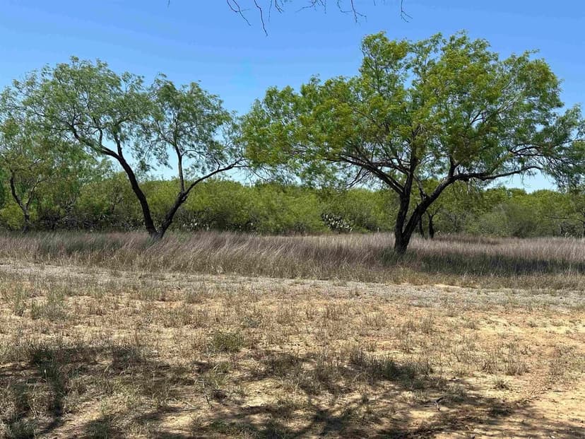 Vacant Land in Laredo
