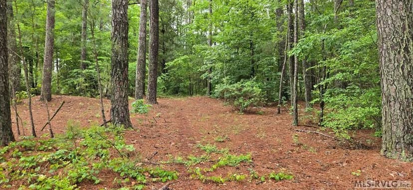 Vacant Land in Henrico