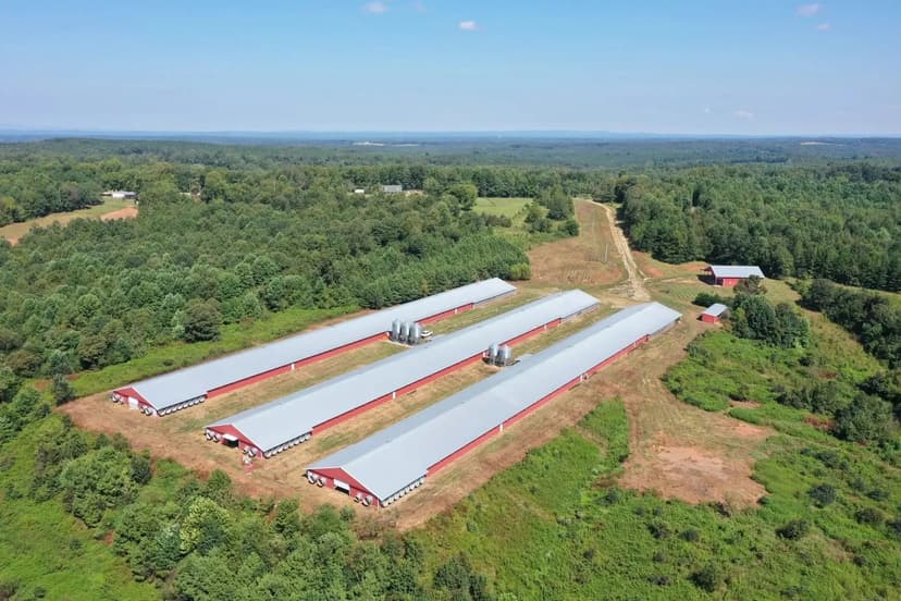 NEW PRICE - Potash Ridge MEGA Broiler Farm