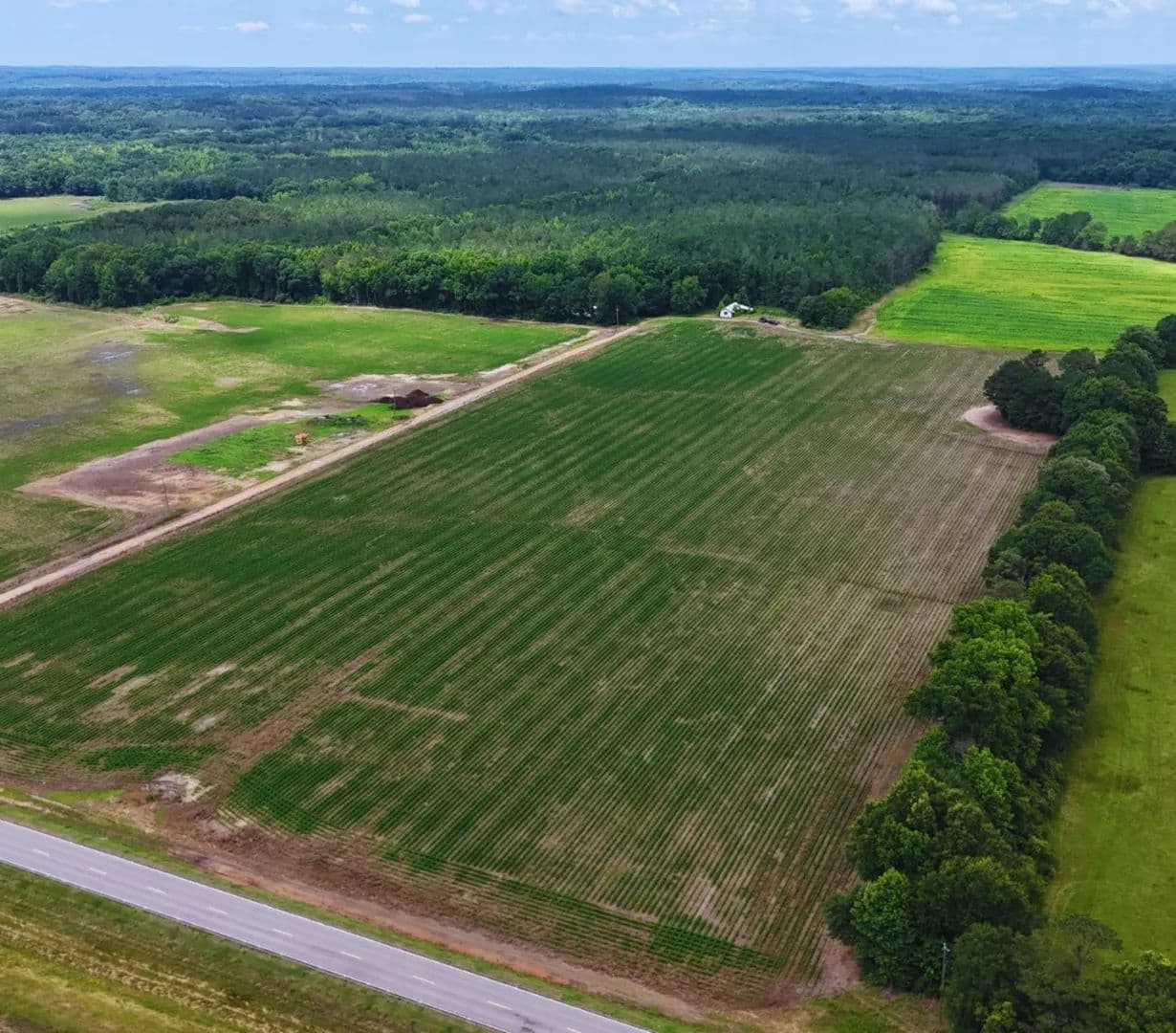 382 Acres in Choctaw County in Eupora, MS - Eupora, Mississippi, 39744