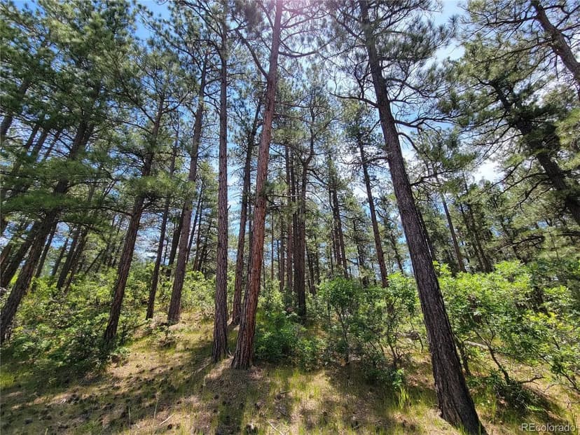 Vacant Land in Larkspur