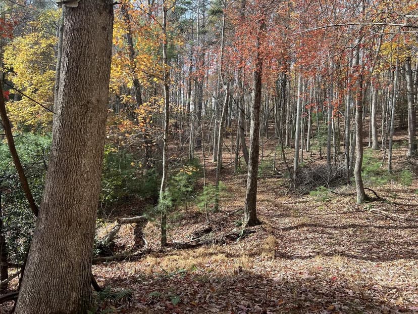 Lots & Land-Other in Union