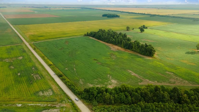 Land -Agricultural (Not Zoned) in Hayti