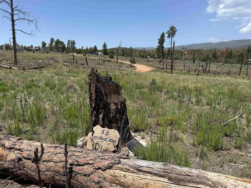 Lots & Land-Other in Timberon