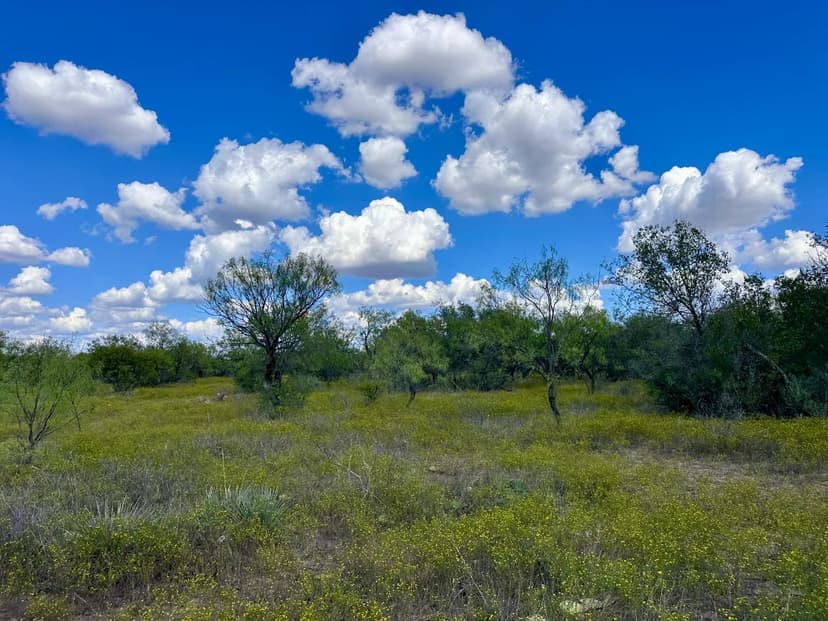 NEW LISTING! 80.2 +/- Ac TBD CR 100, Callahan County