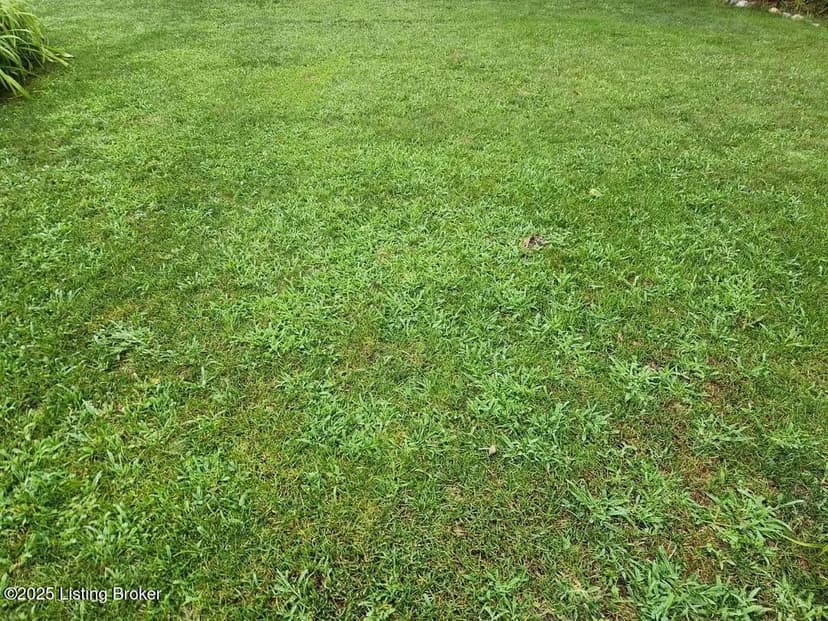 Vacant Land in Louisville