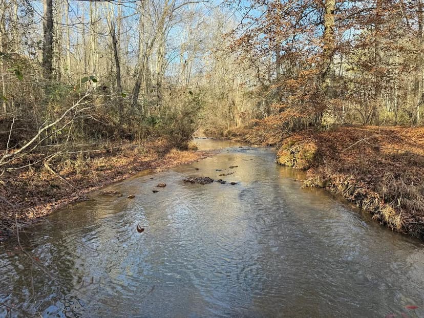 Pineywoods Creek Tract – 34± Acres