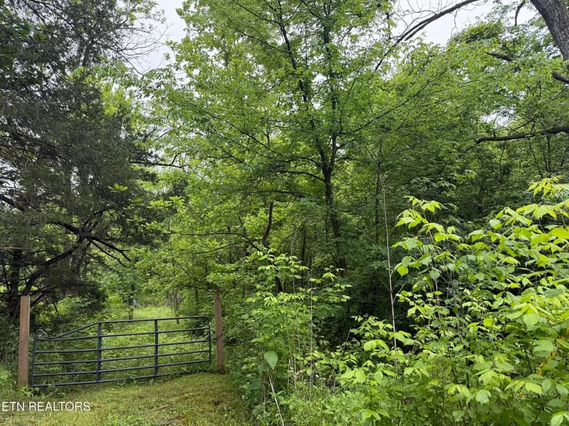 Lots & Land-Other in Knoxville