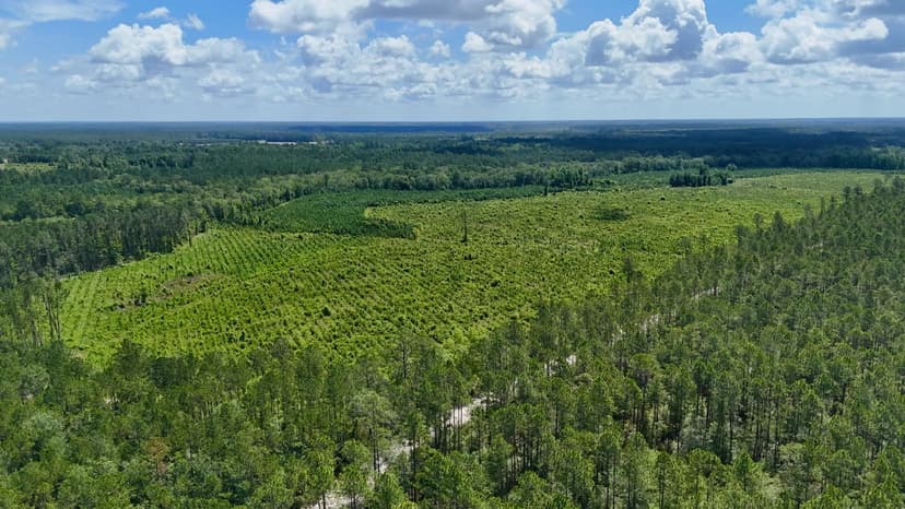 Bennett Mill Pond Retreat — 55 Acres of Country Living, Timber & Wildlife Habitat