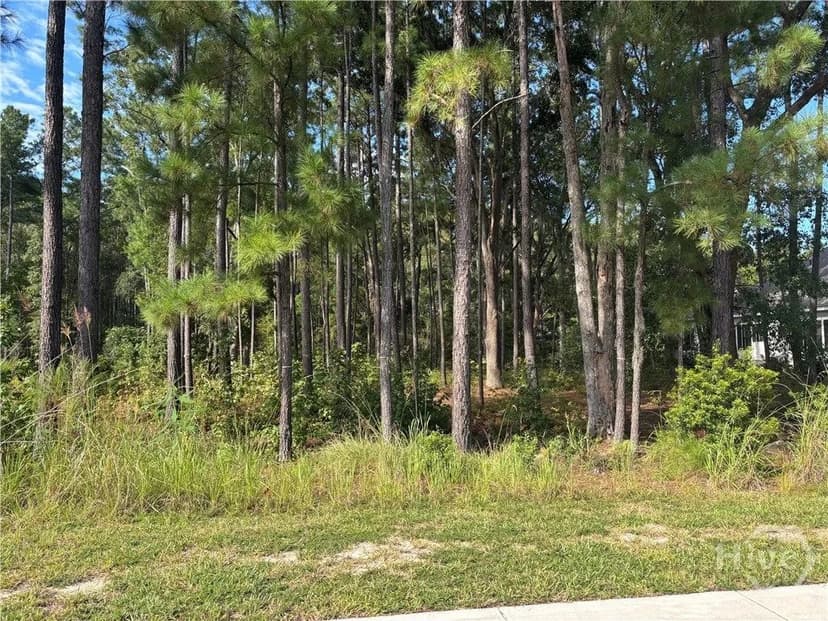 Lots & Land-Other in Pooler