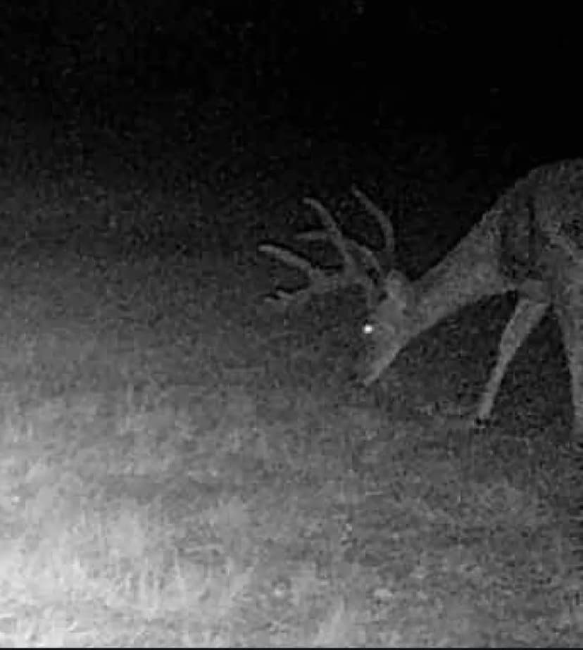 Property from 5860 County Road 423 - KW