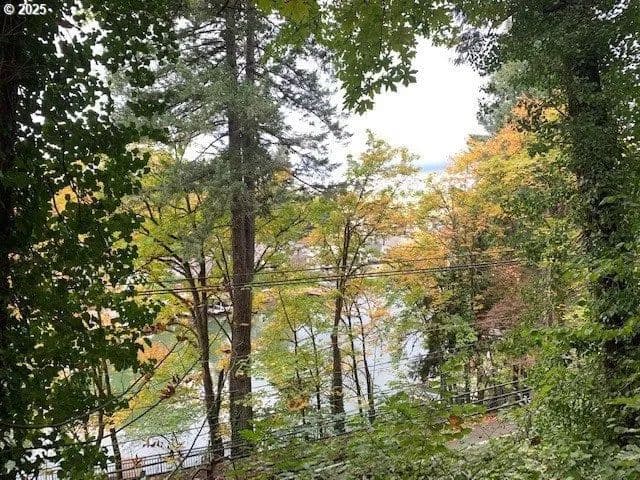 Lots & Land-Other in LakeOswego