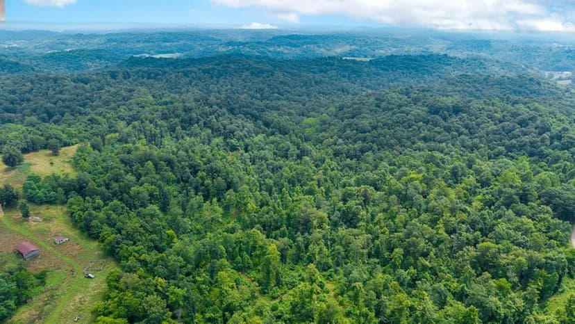 Lots & Land-Other in Crown City