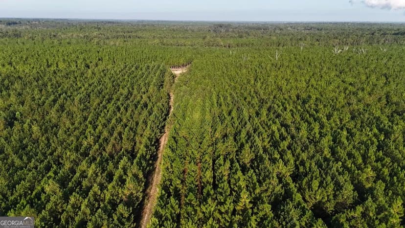 Property from TRACTS 10 AND 1 Penny Morris Road - KW