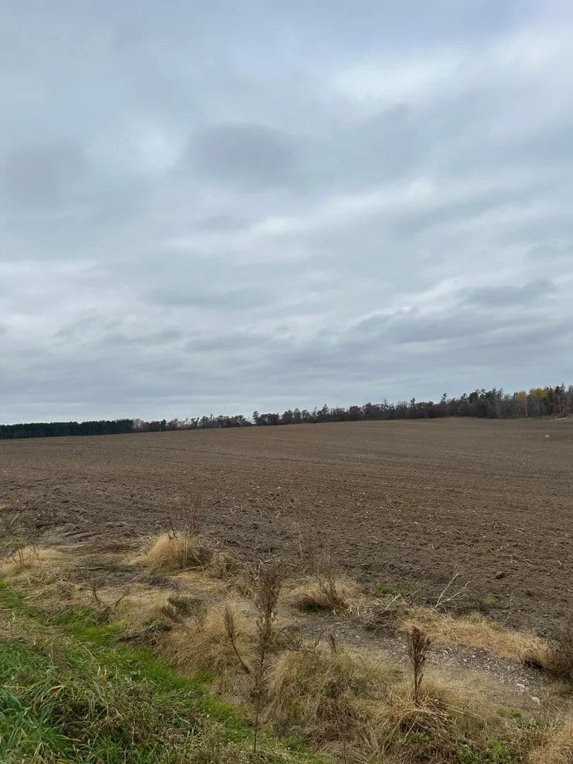 Vacant Land in Ponsford