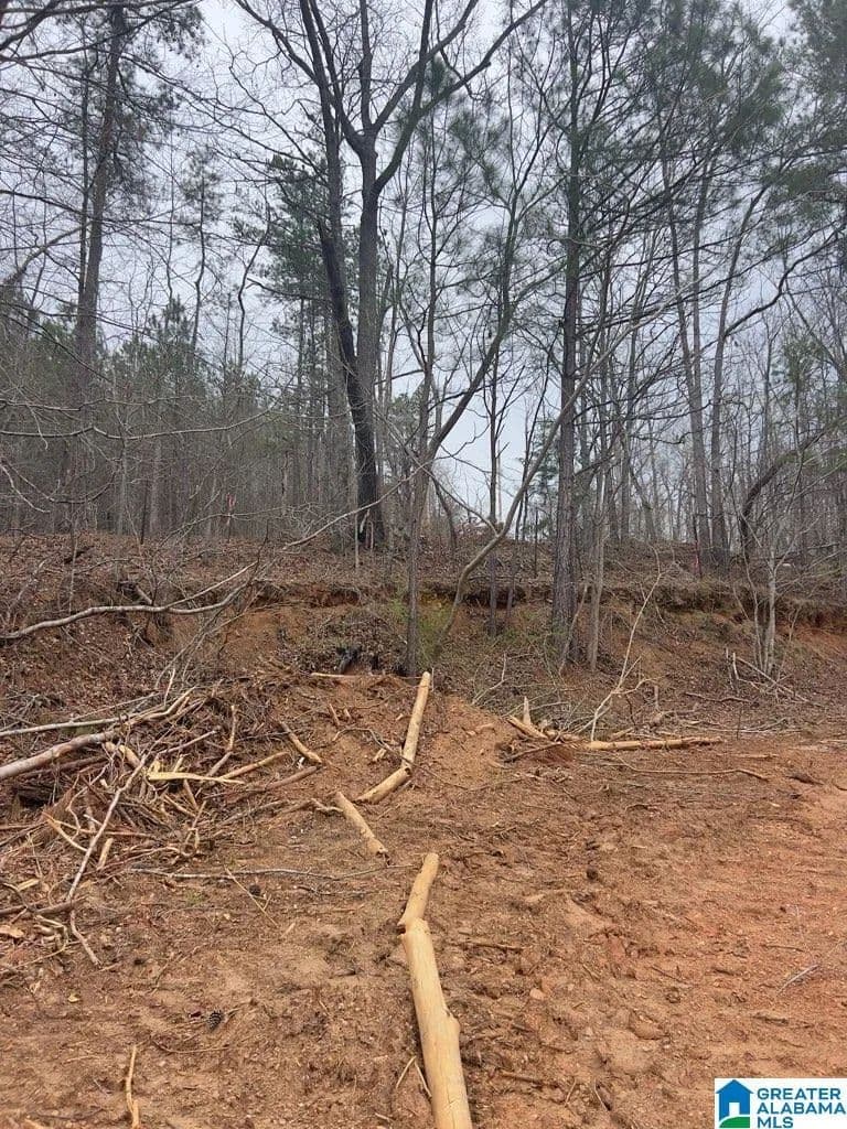 Property from 0 RIDLEY UPPER ROAD #0 - KW