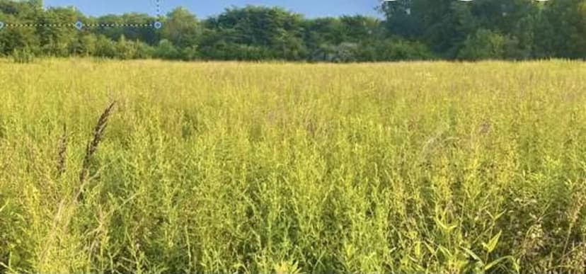 Lots & Land-Other in Pomeroy