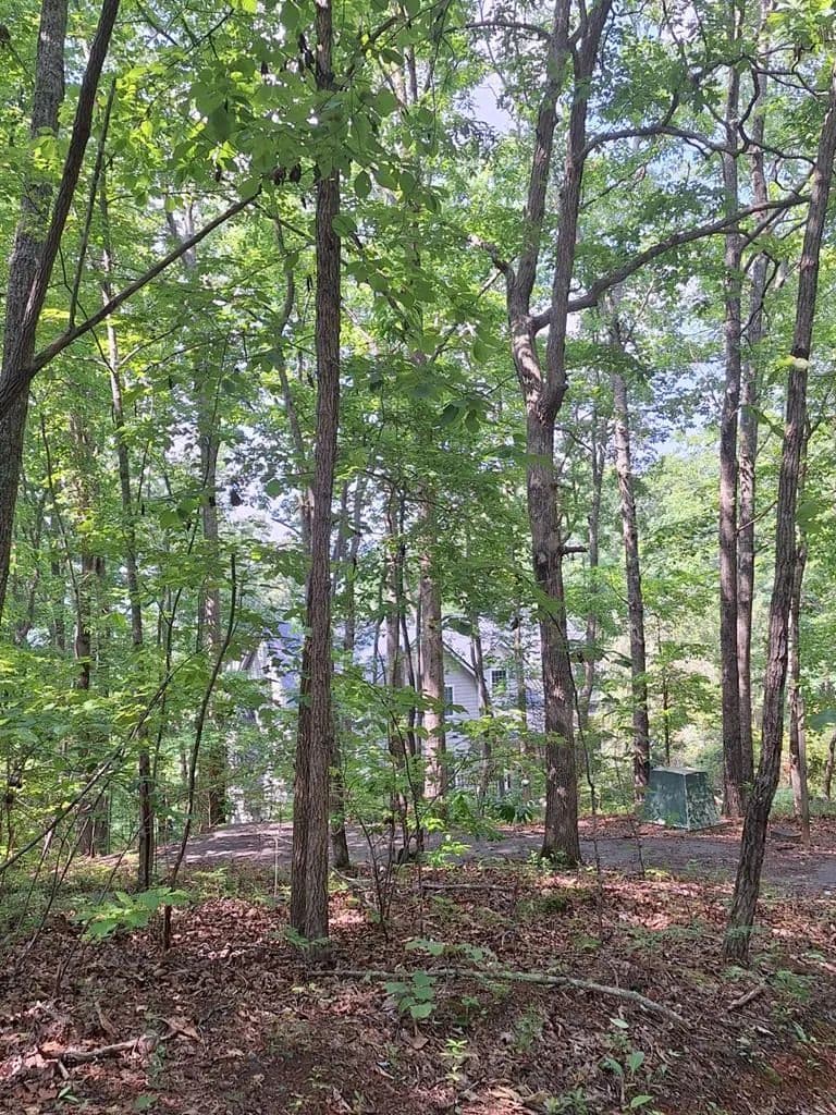Lots & Land-Other in Blue Ridge