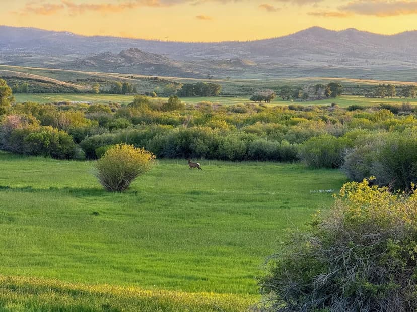 SPRING CREEK RANCH | LOWER PARCEL