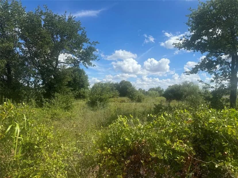 Vacant Land in Clyde