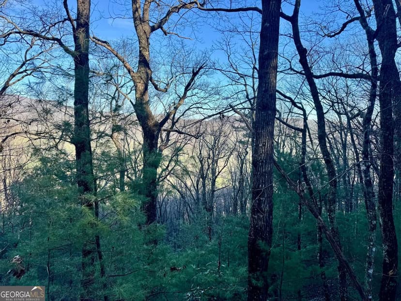 Property from 0 Mule Branch Road - KW