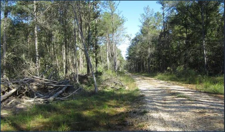 3.02 Acre Lot in Jefferson Davis County in Oak Vale, MS
