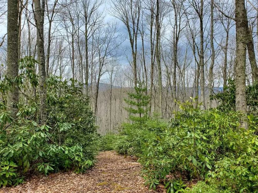 18.31+/- Acres in Lansing, Ashe County