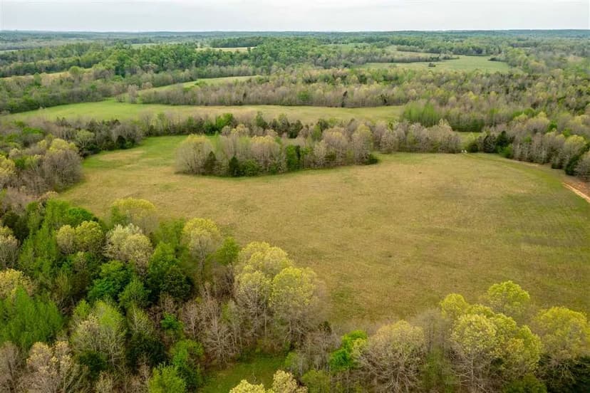 Incredible Recreational Property on Large Creek, Hay fields Woods, Zion, AR, Izard County