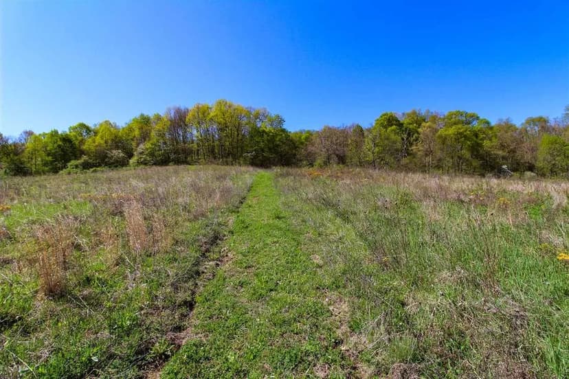 Windy Ridge Tract 2 - 20 acres - Muskingum County
