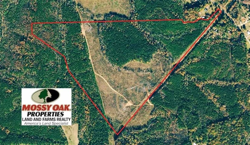 UNDER CONTRACT!! 104 Acres of Hunting and Timber Land For Sale in Lee County NC!
