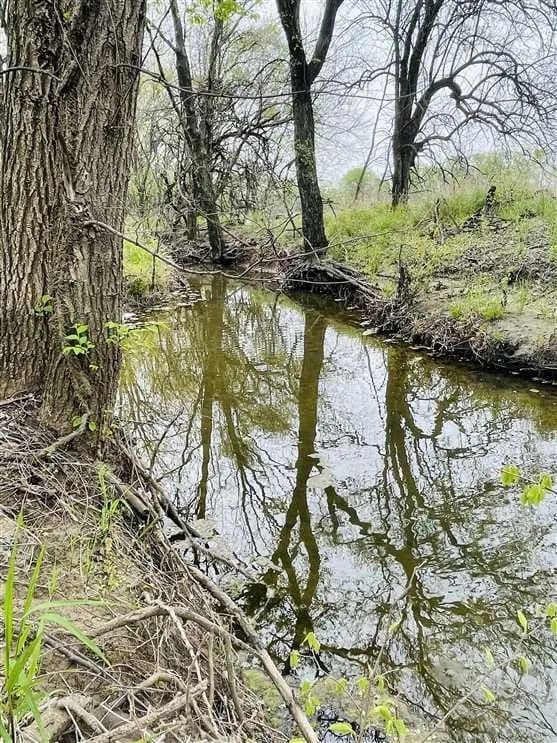 12+/- acres to farm, build, or be creative on with a creek!