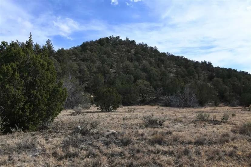 20.21 acres Lincoln County NM