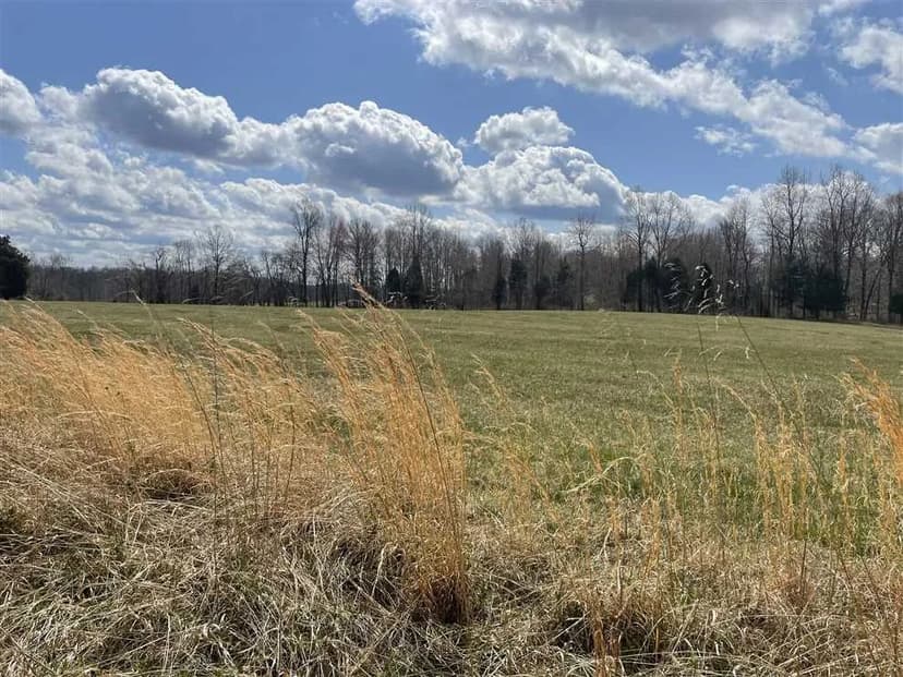 Pilot Knob Road Homesite